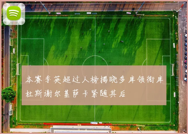 本赛季英超过人榜揭晓多库领衔库杜斯谢尔基萨卡紧随其后