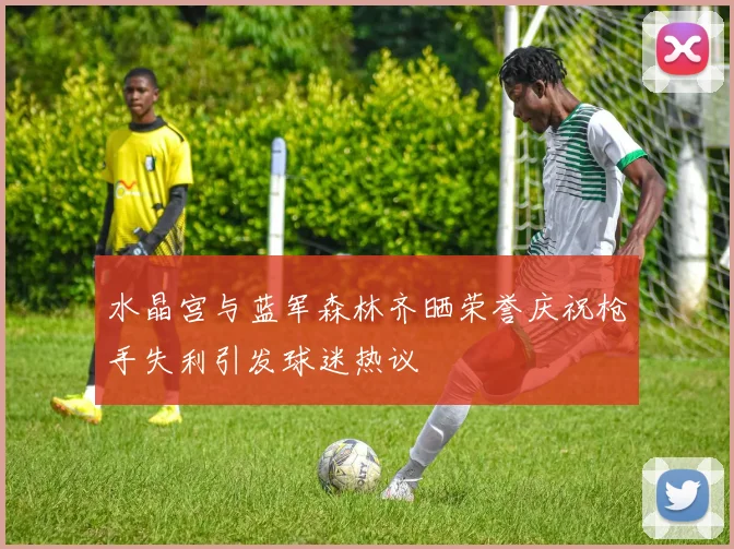 水晶宫与蓝军森林齐晒荣誉庆祝枪手失利引发球迷热议